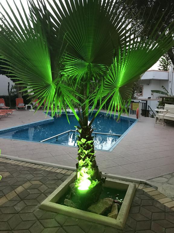 Vrisi Apartments & Villa بيتسيديا المظهر الخارجي الصورة